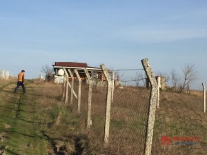 5f5fd80c_f458_4e79_a90a_29ff7cd3ca60 (2).jpg